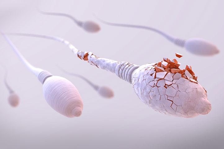 A qualidade do esperma afeta a as taxas de sucesso de engravidez?