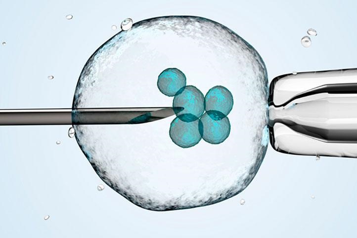 Nova técnica pode melhorar taxa de sucesso de fertilização in vitro